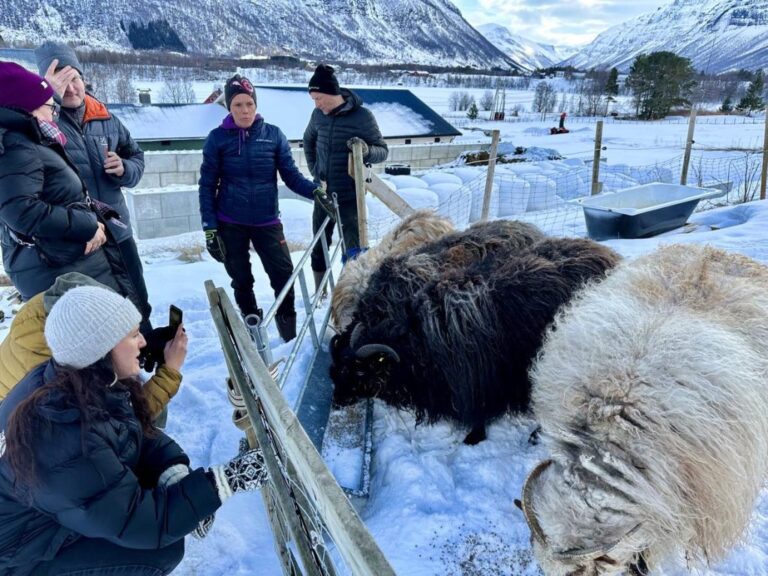 Foto: Besøk på Vatnegården i Manndalen.