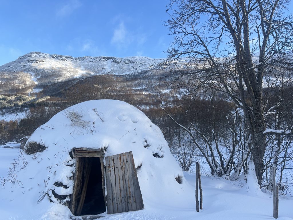 Illustrasjon artikkel